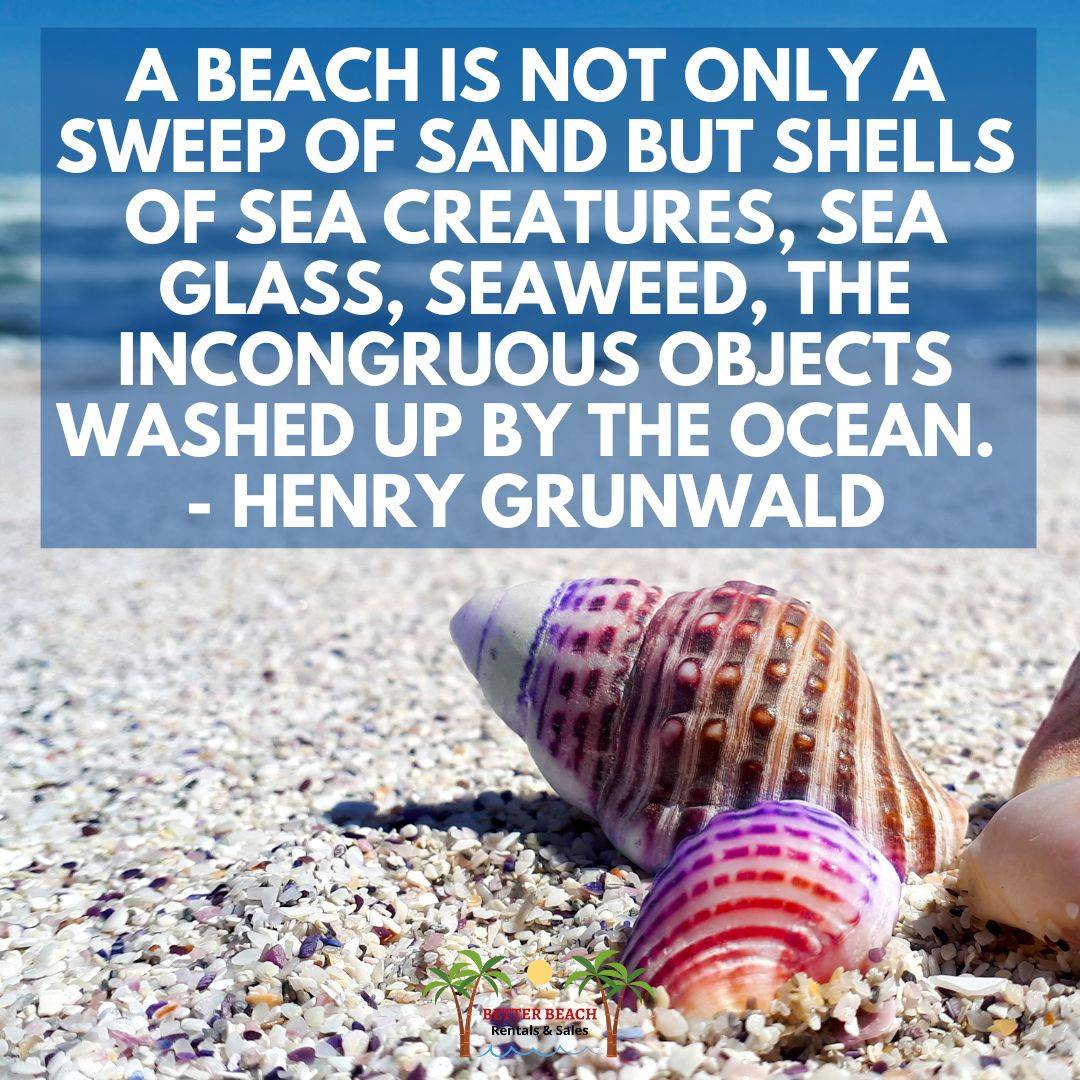 8 Summer Beach Quotes Better Beach Rentals