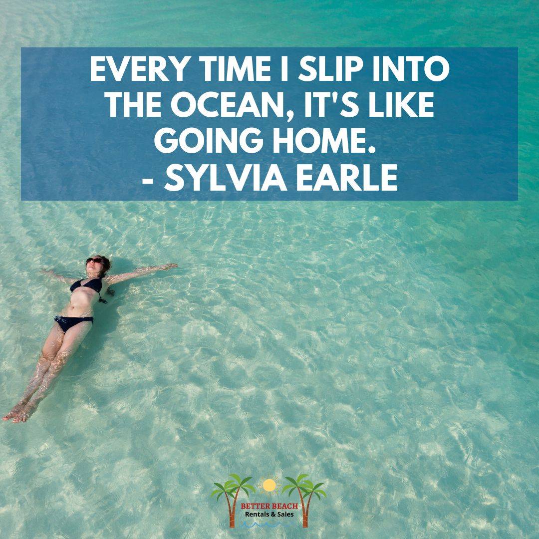 8 Summer Beach Quotes Better Beach Rentals